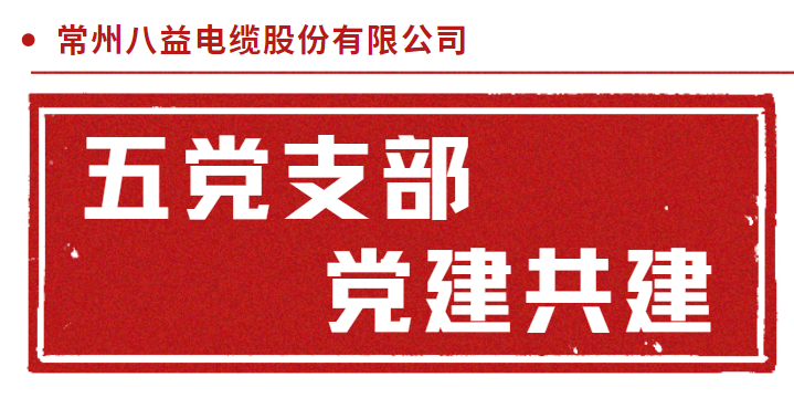 三门核电倒送电耐火电缆 五党支部党建共建！